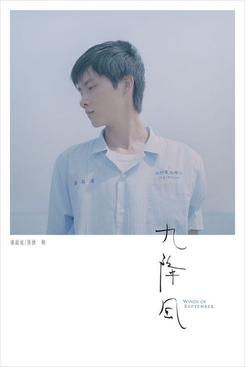 做个环境影响报告表